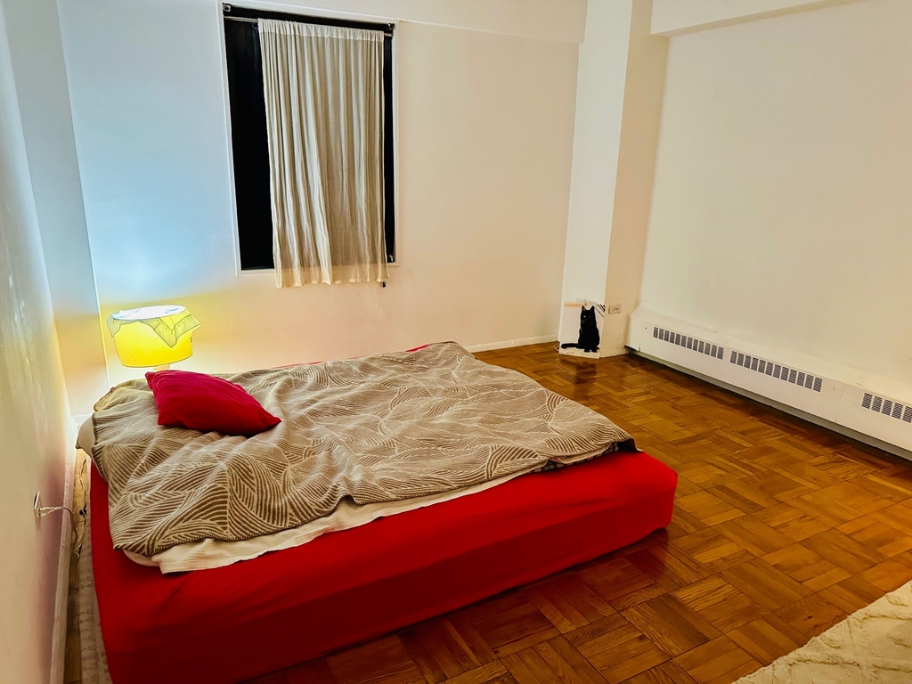 345 West 145th Street - Photo 9