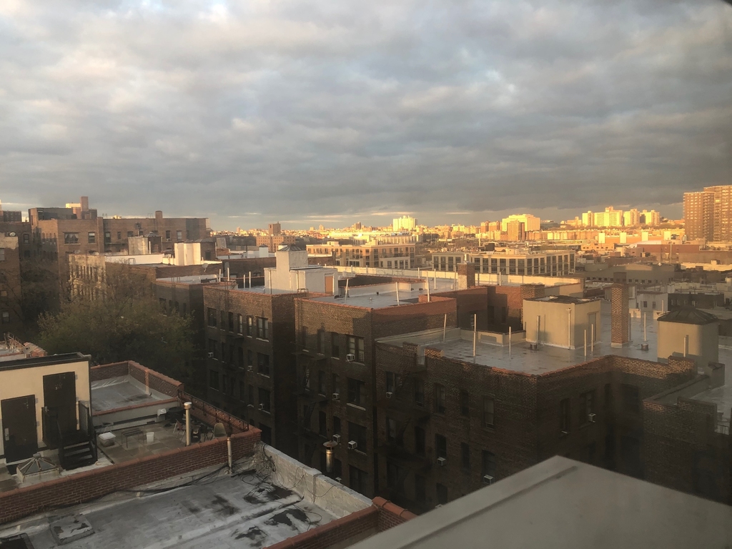 345 West 145th Street - Photo 10