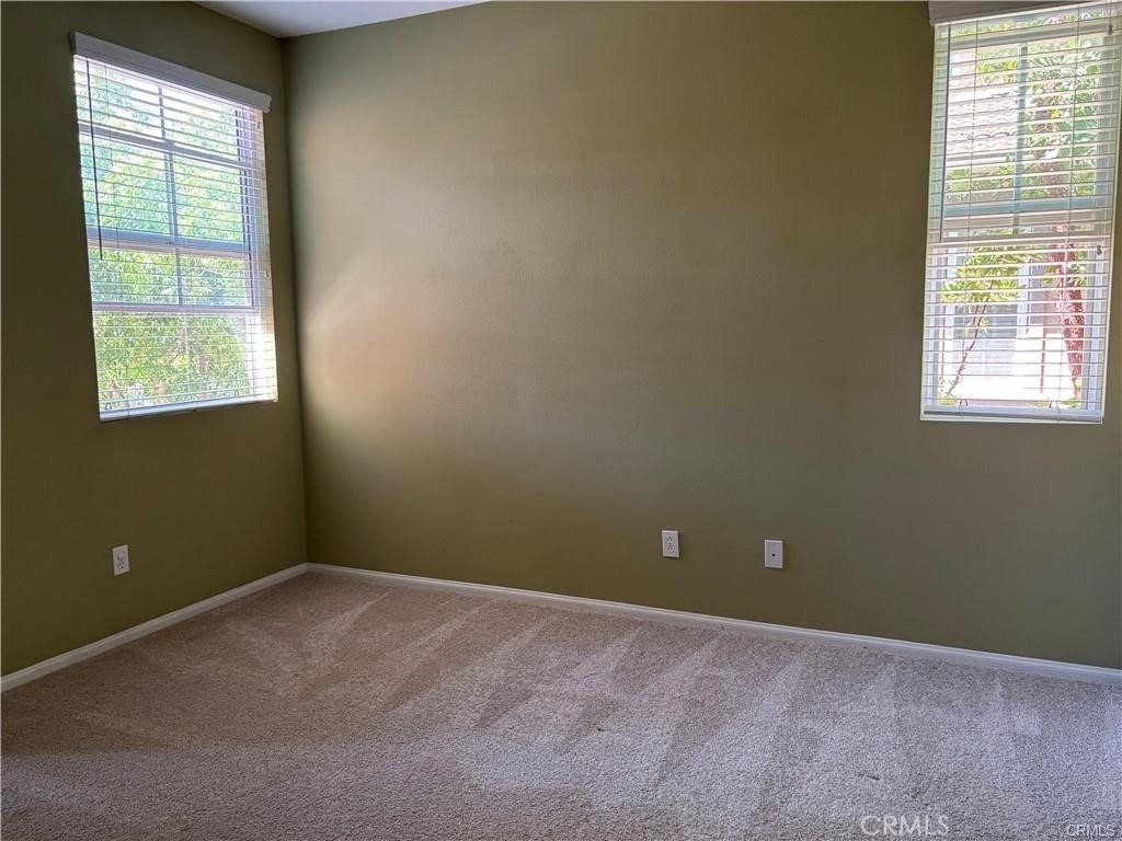 31124 Strawberry Tree - Photo 10