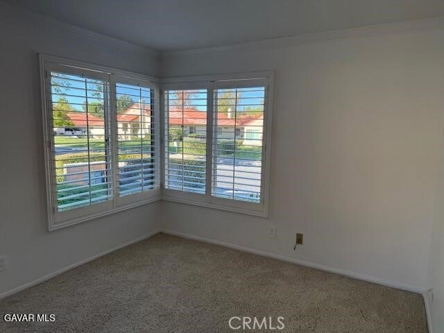 26265 Rainbow Glen - Photo 7
