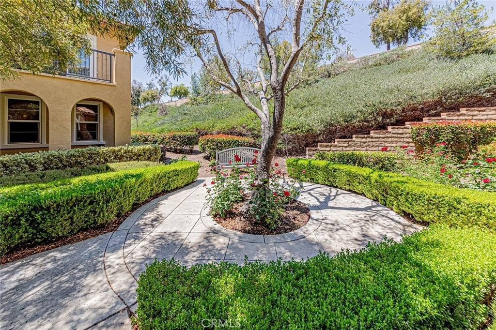 28519 Herrera Street - Photo 15
