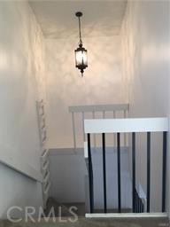 104 Avenida Baja - Photo 5