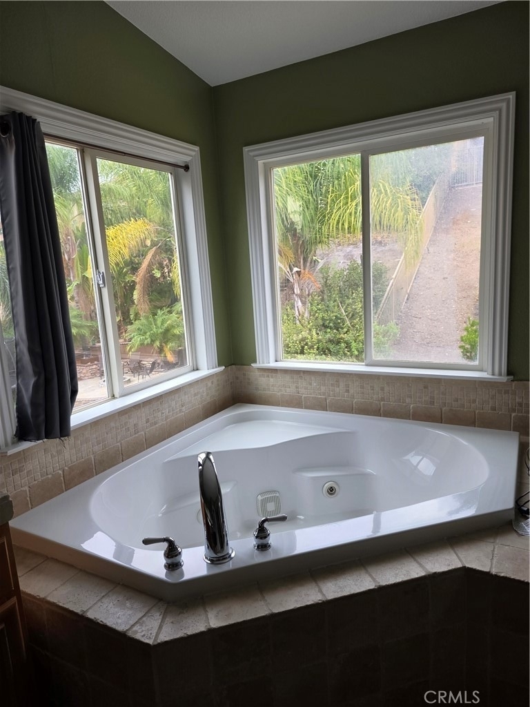 27139 Tube Rose Street - Photo 10