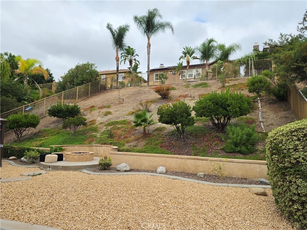 27139 Tube Rose Street - Photo 49