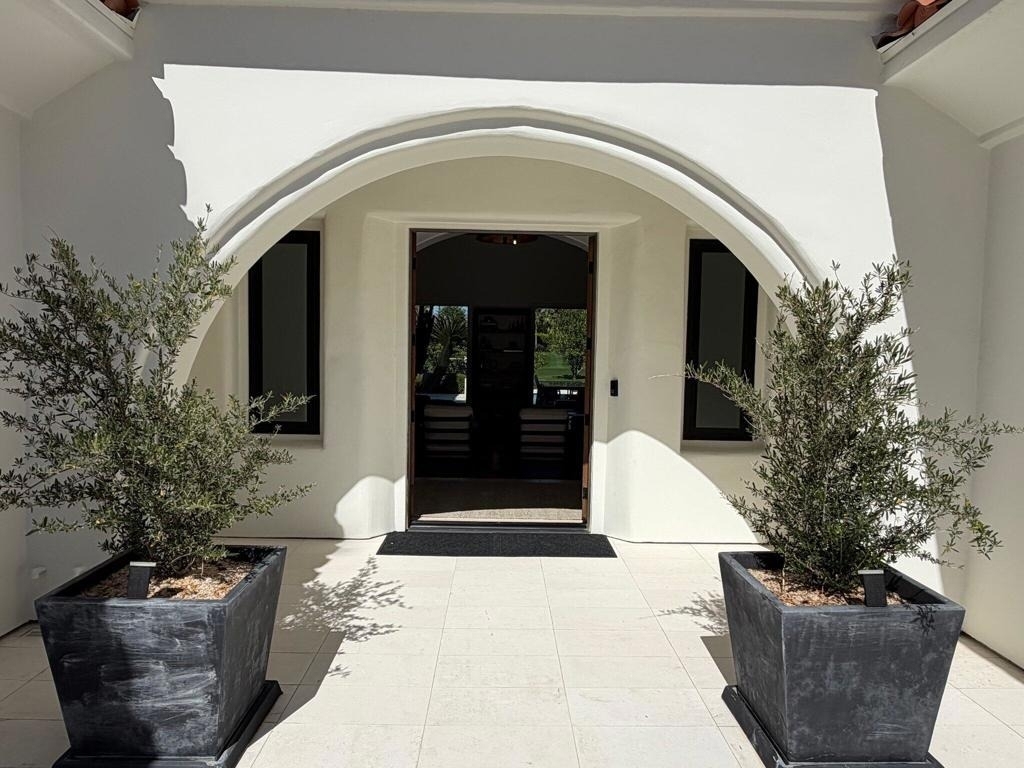 79690 Citrus - Photo 4