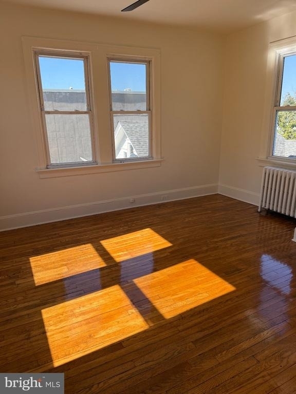 206 Nassau Street - Photo 5