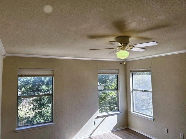 17229 Bushmills Rd - Photo 20
