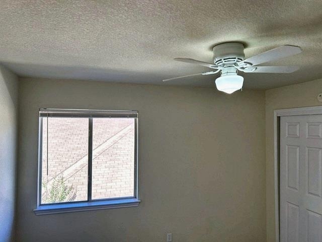 17229 Bushmills Rd - Photo 16