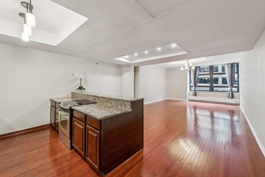 680 N Lake Shore Drive - Photo 3