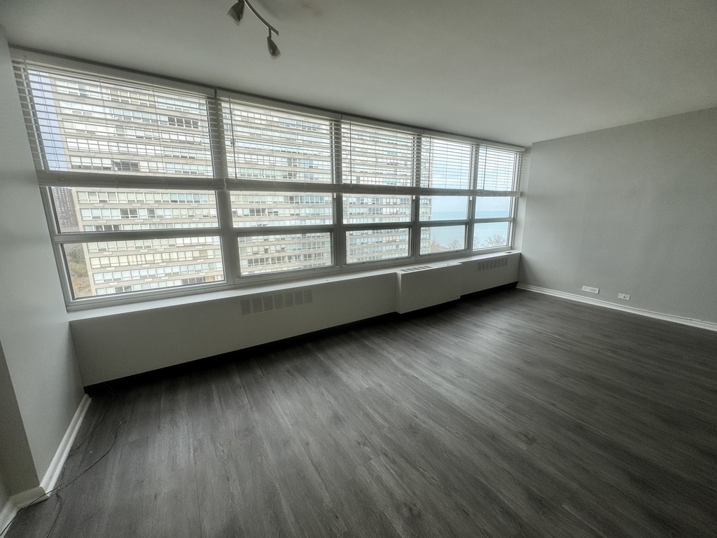 4800 S Chicago Beach Drive - Photo 1