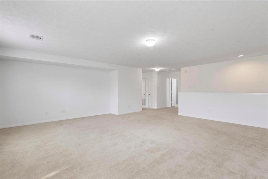 16119 Peach Bluff Lane - Photo 19