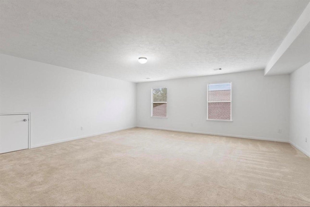 16119 Peach Bluff Lane - Photo 15