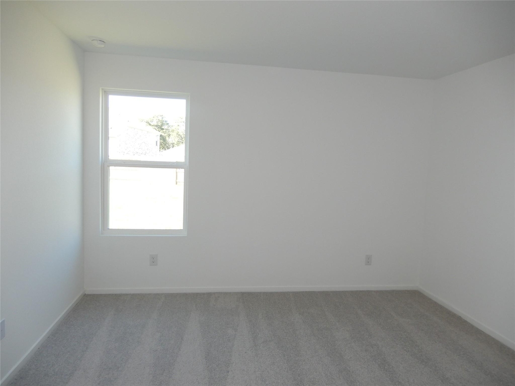 31505 Olivella Drive - Photo 4