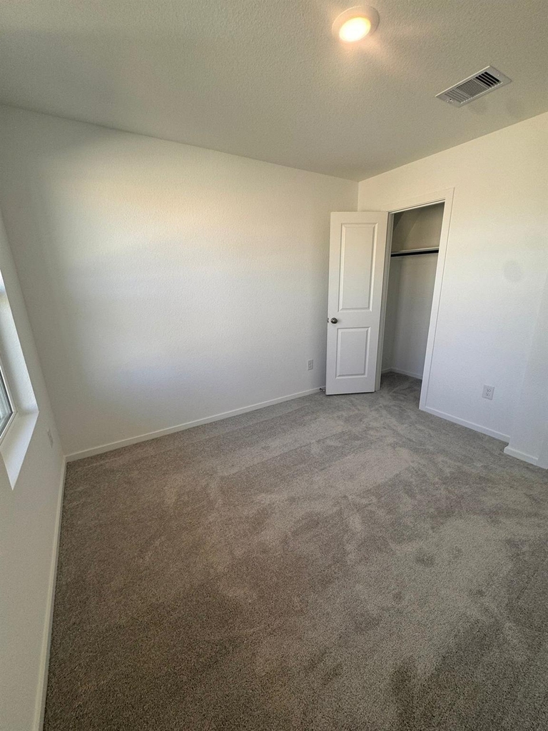 26507 Pampas Grass Lane - Photo 11