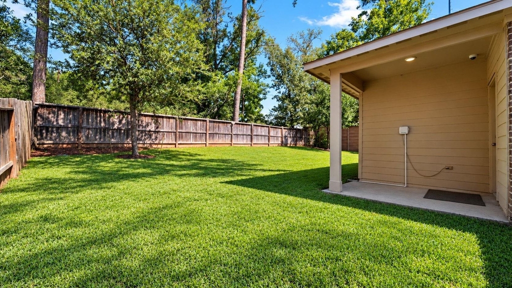 11502 Castle Nugent Court - Photo 4
