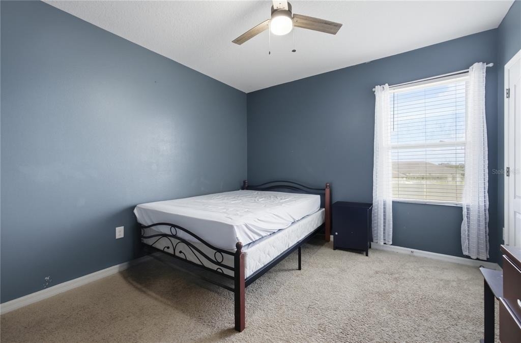 233 Ludisia Loop - Photo 19