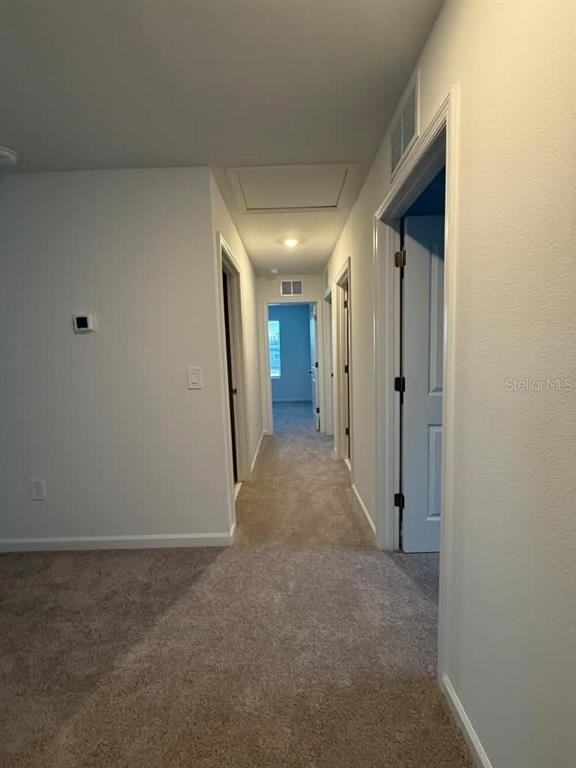 3367 Alexander Drive - Photo 22