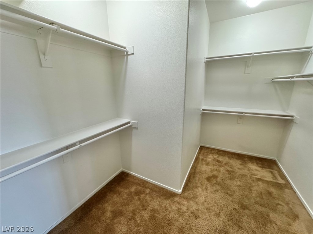833 Aspen Peak Loop - Photo 5