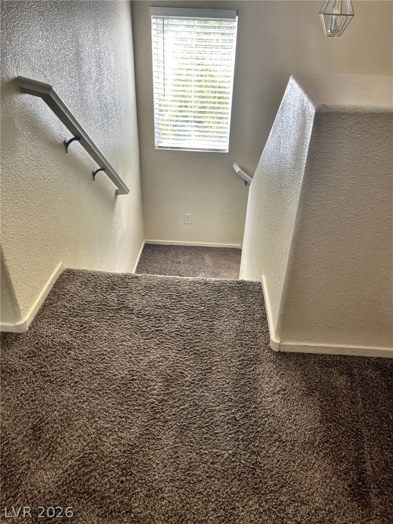 4670 San Vito Street - Photo 15