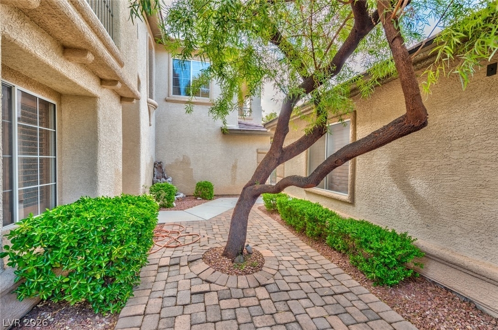 11409 Orazio Drive - Photo 2