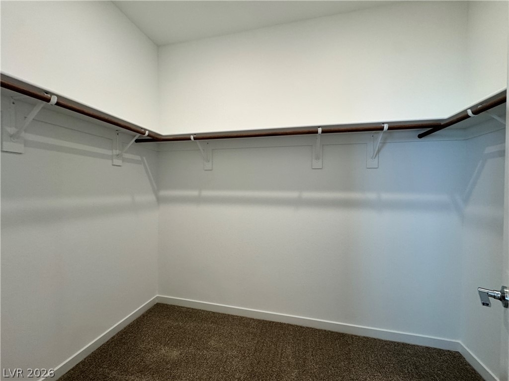1480 Great Snipe Avenue - Photo 34