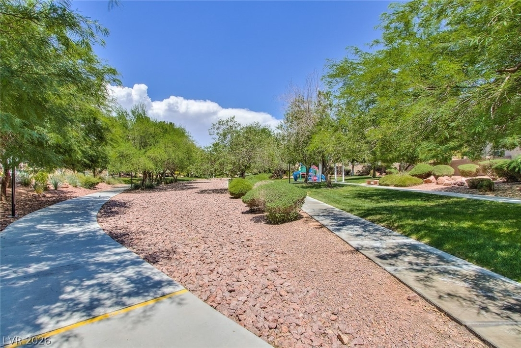 3229 Visionary Bay Avenue - Photo 48