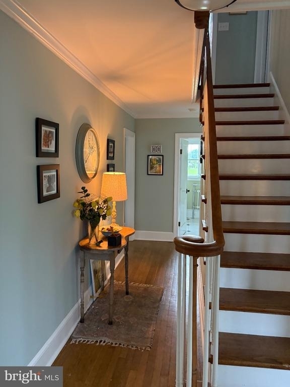 411 S 11th Street - Photo 8