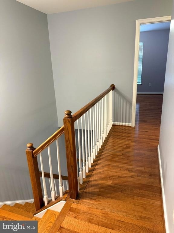 13002 Park Crescent Circle - Photo 15