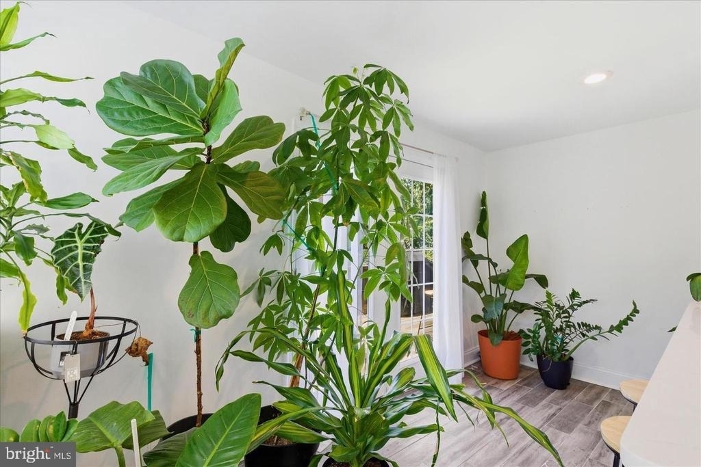 4318 Lawrence Street - Photo 14