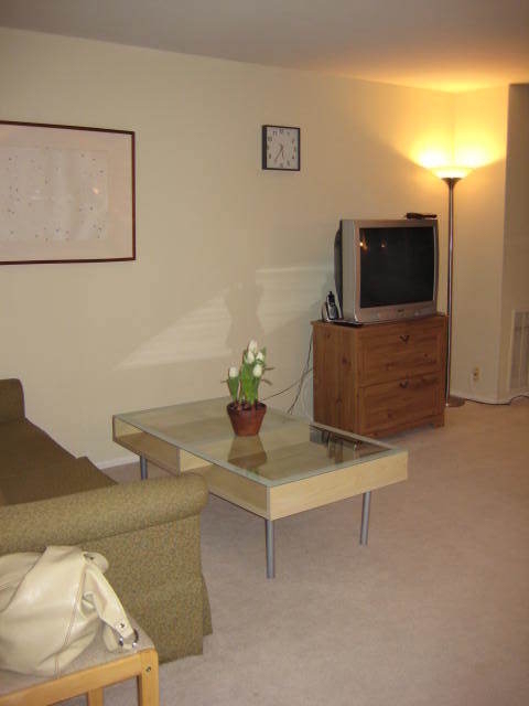 655 W Irving Park Road - Photo 21