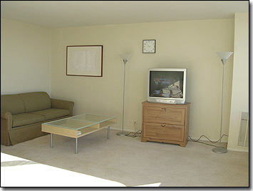 655 W Irving Park Road - Photo 3