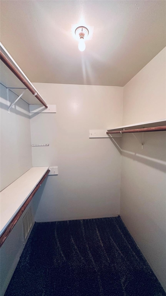 3906 Almington Lane - Photo 11