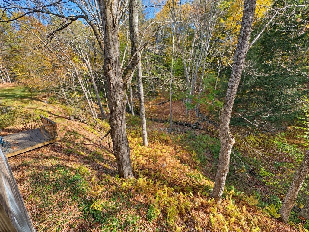 68 Mount Gilboa - Photo 25