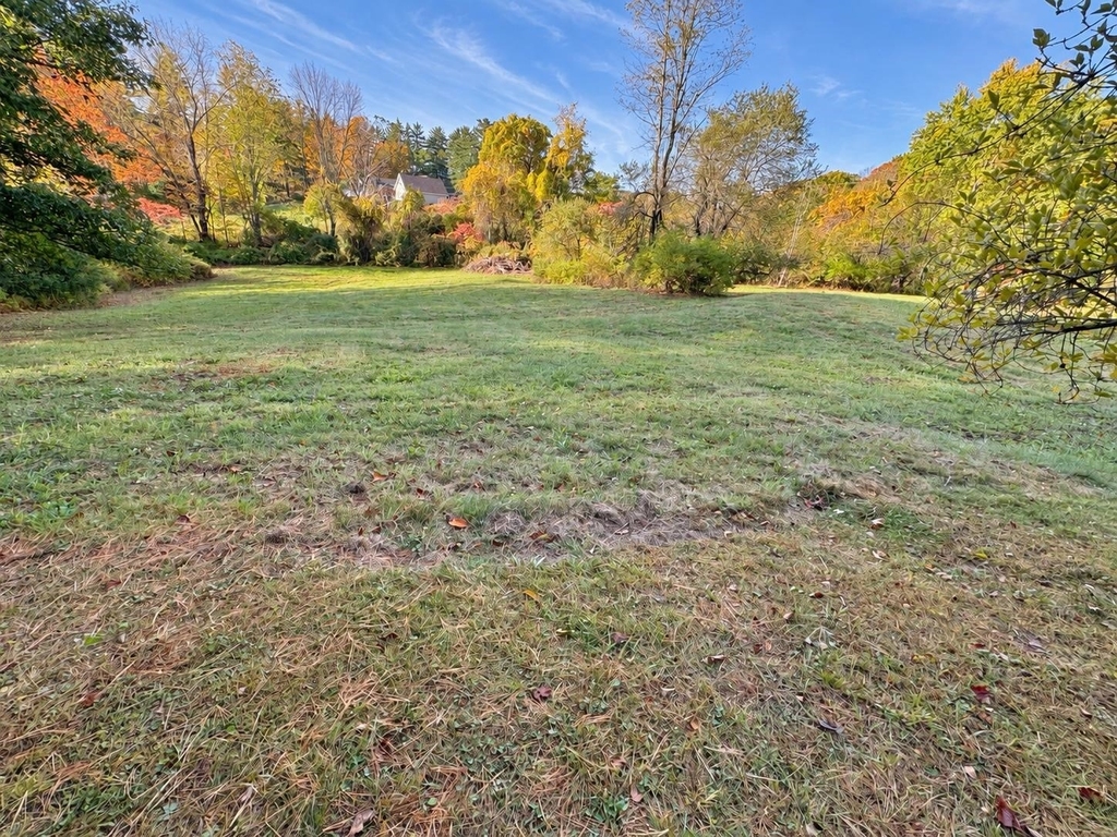 68 Mount Gilboa - Photo 21