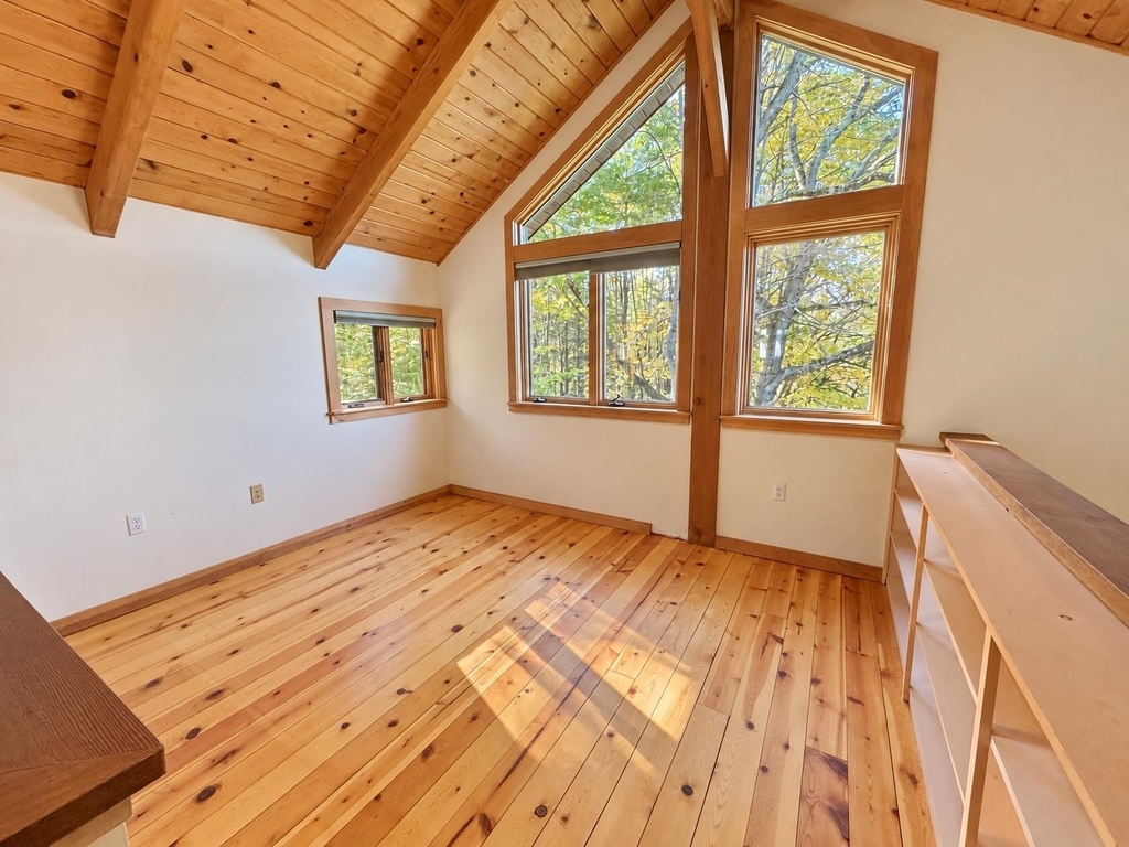 68 Mount Gilboa - Photo 12