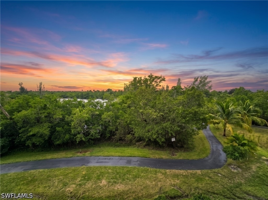 10080 Lake Cove Drive - Photo 4