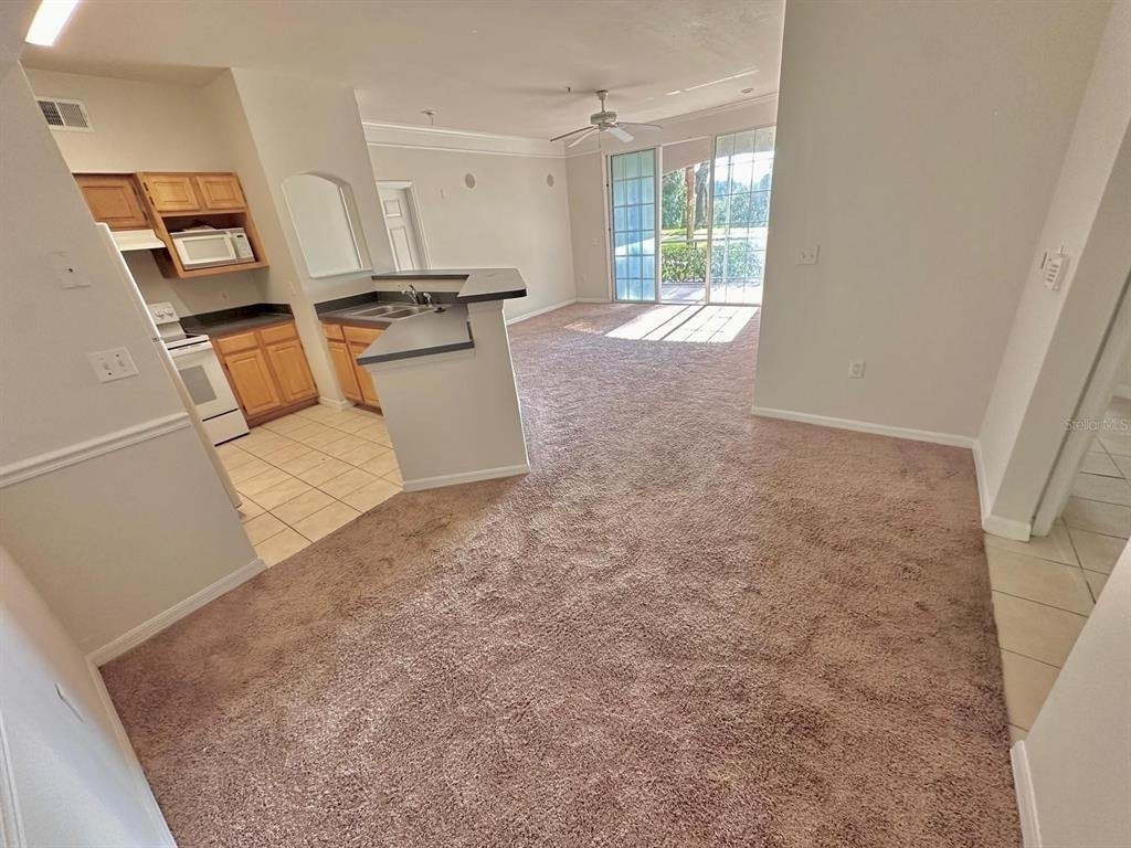 3250 Corona Village Way - Photo 3