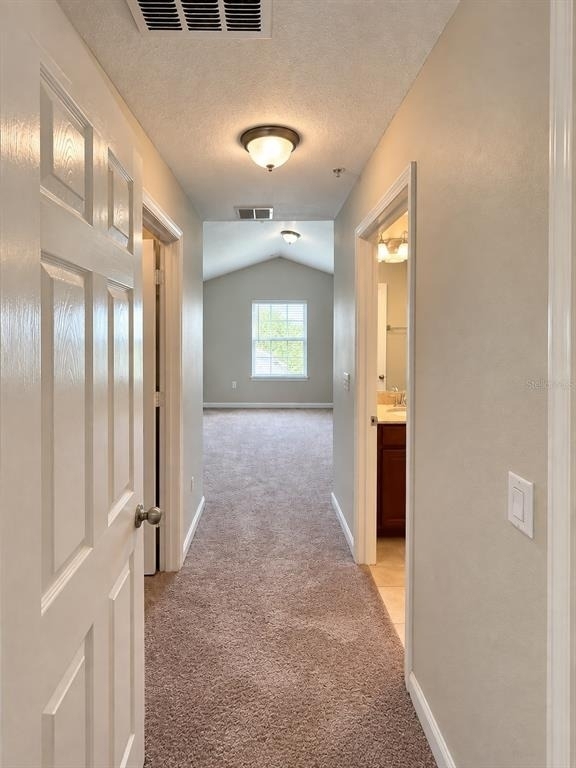 9407 Tawnyberry Street - Photo 4