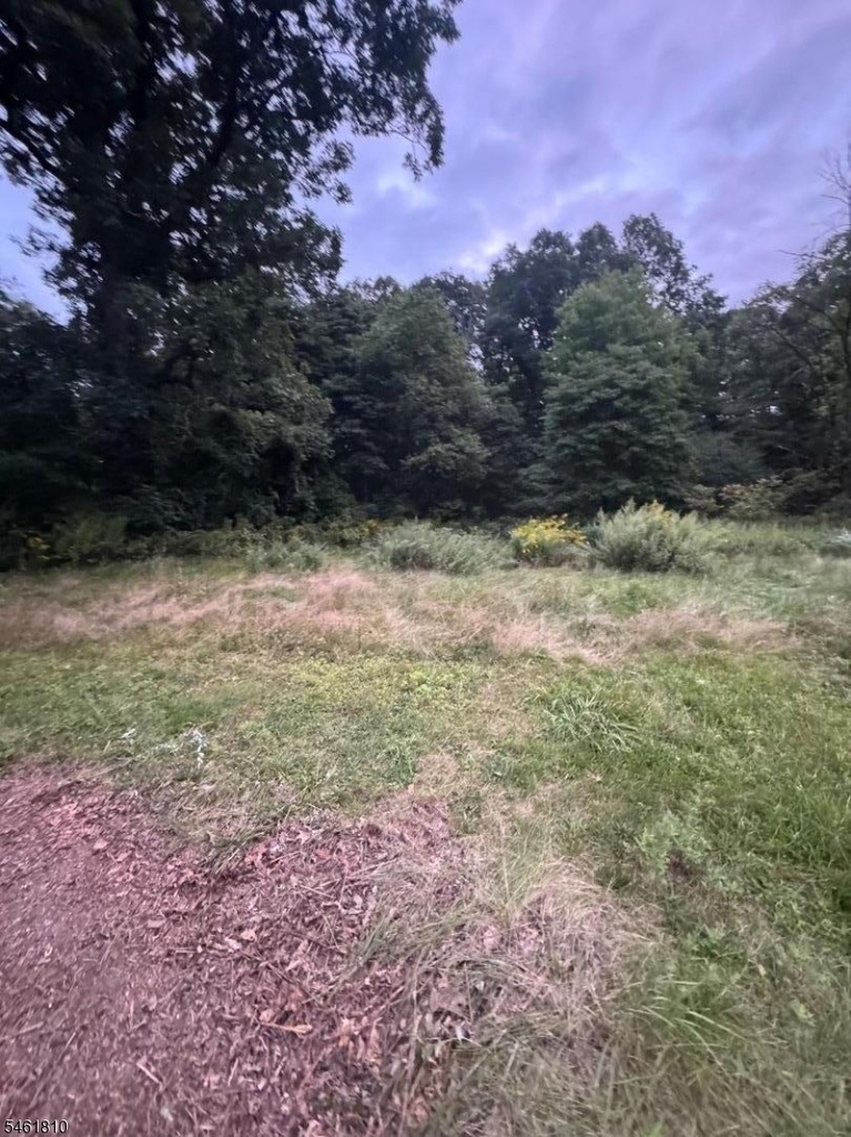264 Cozy Lake Rd - Photo 12