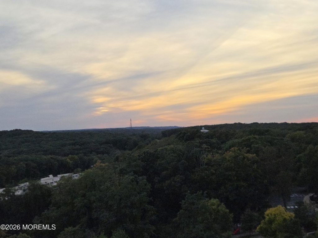 1 Scenic Drive Unit 1102 Drive - Photo 20
