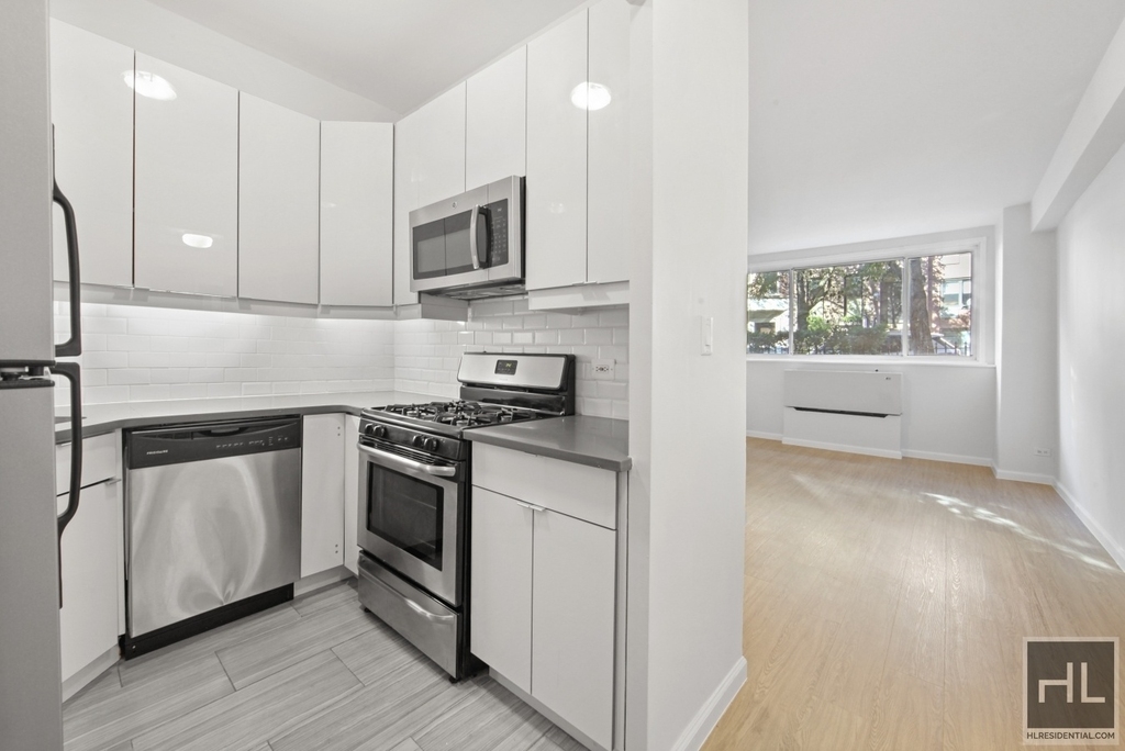 East 51st Street - Photo 1