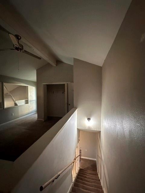 9696 Walnut Street - Photo 18