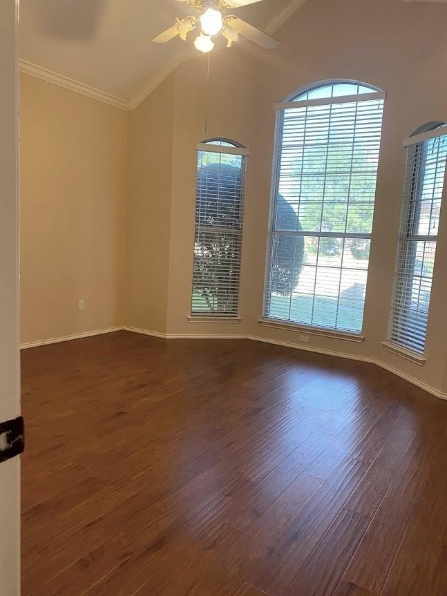 7105 Tansy Place - Photo 6