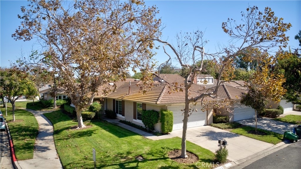 17222 Citron - Photo 3