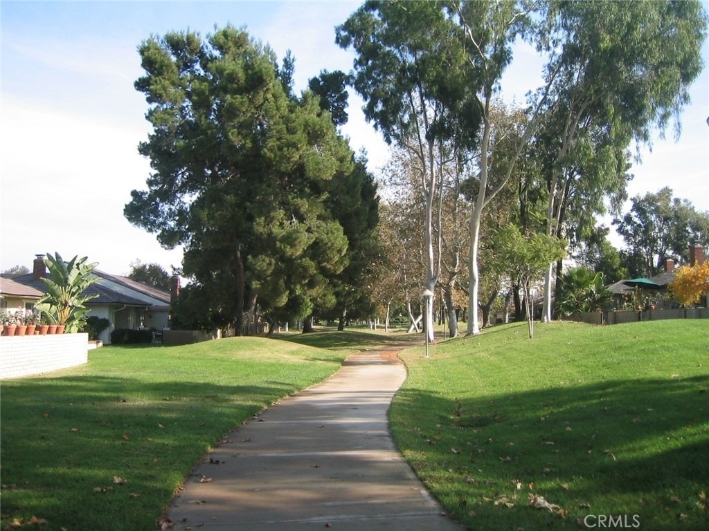 17222 Citron - Photo 55