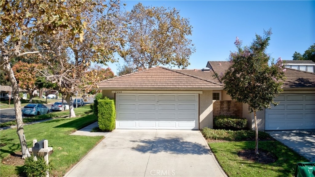 17222 Citron - Photo 0