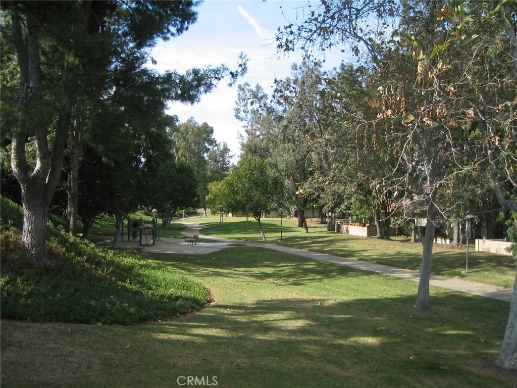 17222 Citron - Photo 56