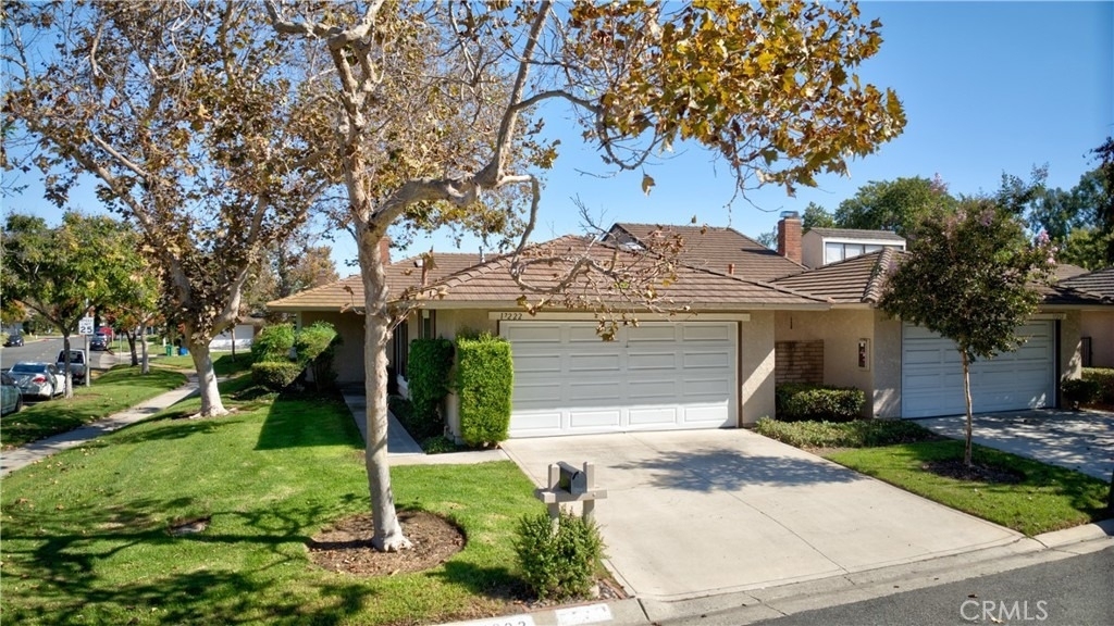 17222 Citron - Photo 1