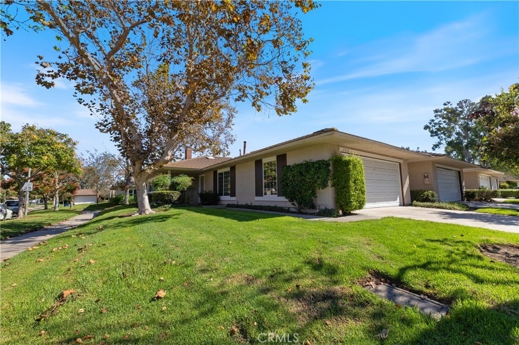 17222 Citron - Photo 5
