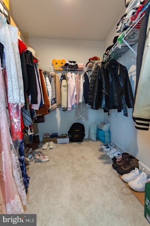 236 Surplus Road - Photo 37